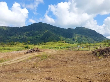 Agricultural Land