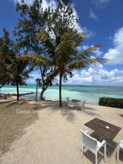 Discover Luxury Living at Pointe d'Esny Le Village – Mauritius