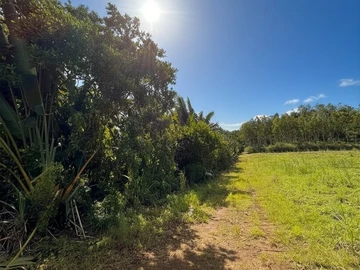 Agricultural Land