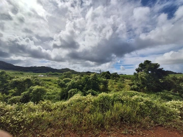 Agricultural Land