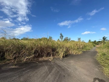 Residential Land