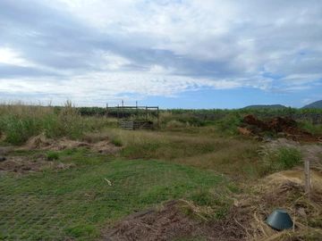 Residential Land