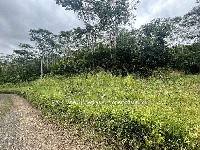 Agricultural land ideal for lodges