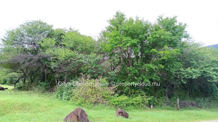 Terrain à Vendre – 2 785m² dans le Domaine de Palmyre