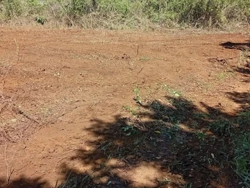 Terrain Agricole