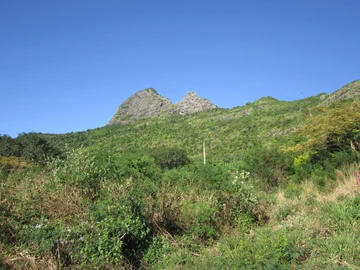 Land