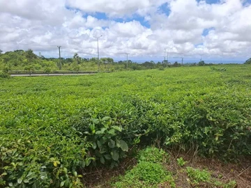 Commercial Land