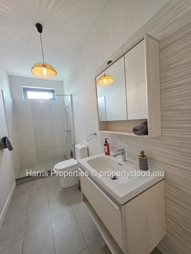 Exquisitely furnished and luxurious apartment for sale in Pereybere