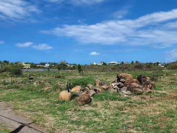 Residential Land