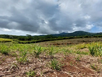 Terrain Agricole