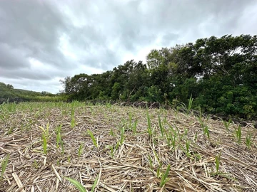 Agricultural Land