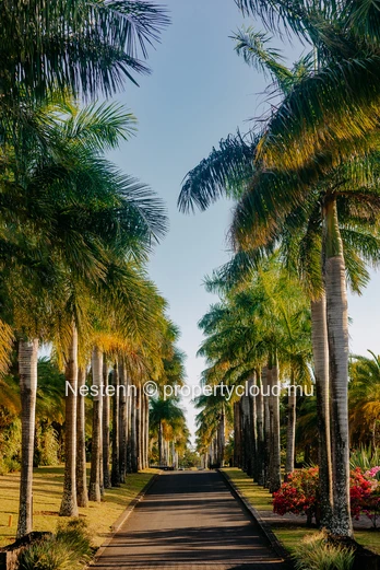 Mountain view land of 1400 m² in an exceptional estate 