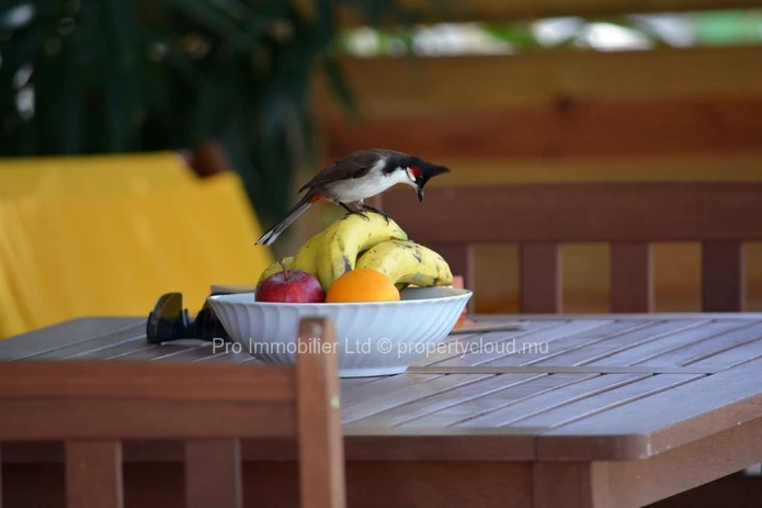 Cosy 3-Bedroom Beach House ,  Trou d’Eau Douce
