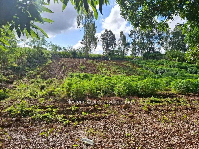 Land of 4965.12 m² 2.8 kms from main road.