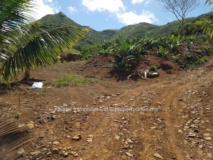 13.38 Arpents of Land for Sale | Anse Jonchée | Grand Port