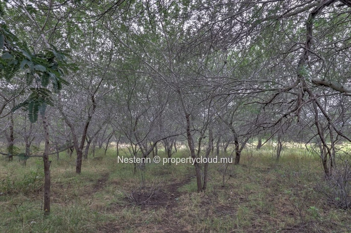 Residential Land in Morcellement Belouguet (3,311 m² / 78 perches)