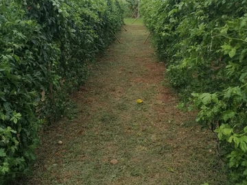 Agricultural Land
