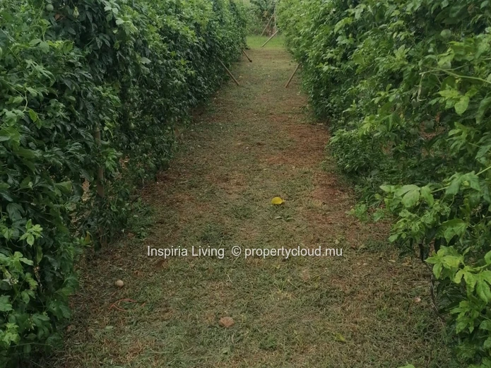 Farm for sale in Chamouny — Sea & Mountain Views