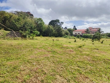 Land