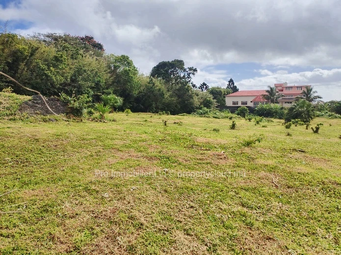 Rare Opportunity: Spacious 4,239m² Land for Sale, Ideal for Property Developers .Floreal.