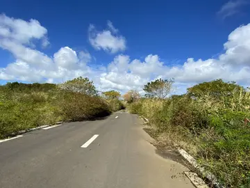 Agricultural Land