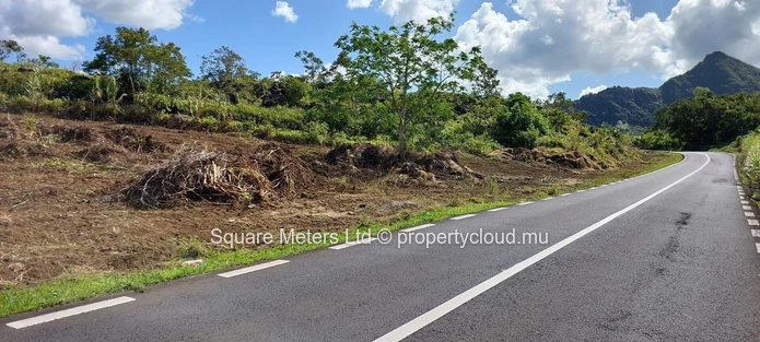 Agricultural Land For Sale – Clémencia (Sole Mandate)