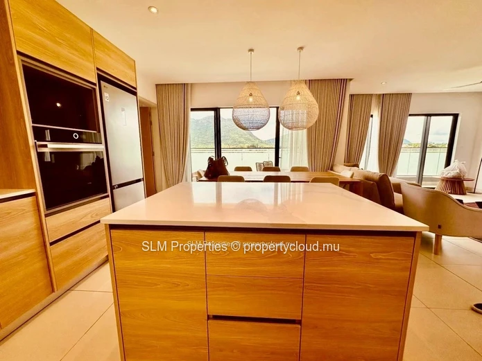 3 bedroom penthouse for rent in Moka.