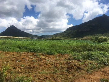 Agricultural Land