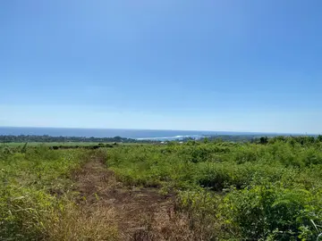 Residential Land