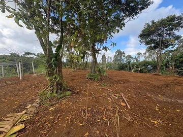 Terrain Agricole