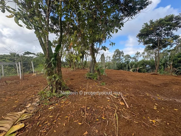 One-of-a-kind elevated agricultural plot with spectacular sea, river & mountain views of 4,405.49m² 