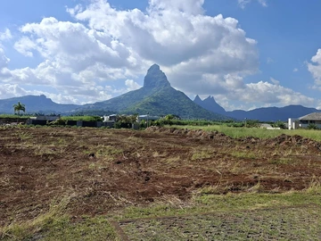 Residential Land