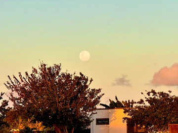 Residential Land