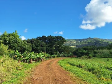 Agricultural Land