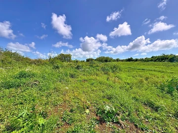 Land