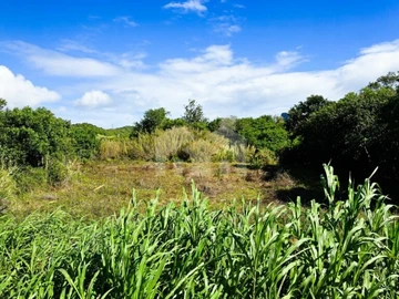 Terrain Résidentiel
