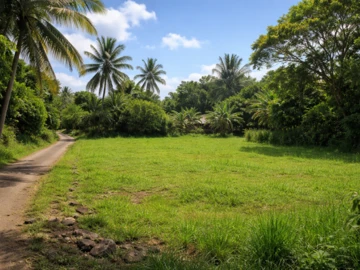Residential Land