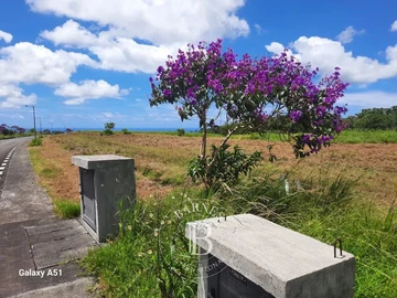 Residential Land