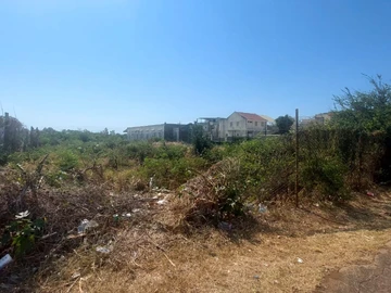 Terrain
