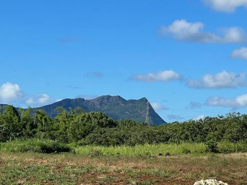 Terrain Agricole