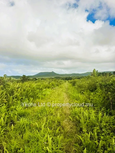 Agricultural Land For Sale In Bois Chéri