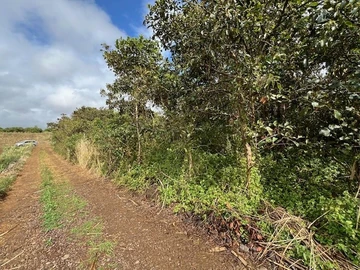 Terrain Agricole