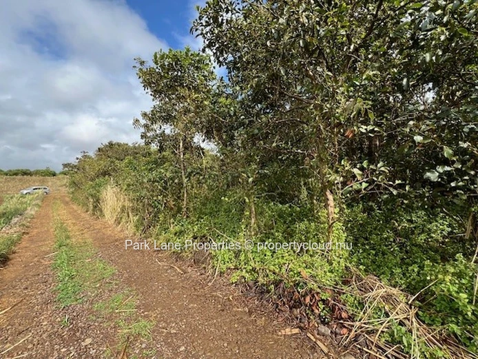 Transformative Potential: Trianon’s Agricultural Land Near Verdun Highway