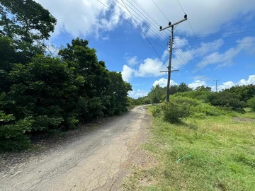 Agricultural Land