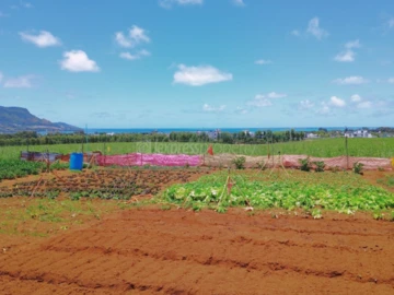 Residential Land
