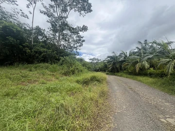 Agricultural Land