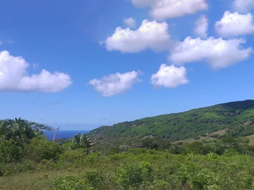 Land