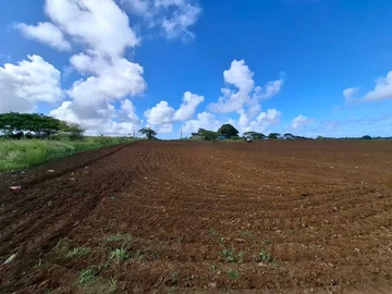 Commercial Land
