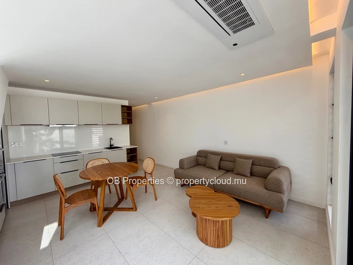 1 Bedroom Penthouse with Private Rooftop