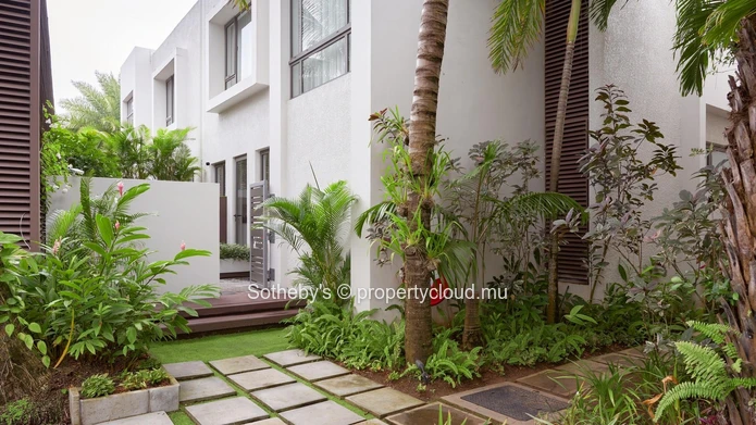 Trochetia Penthouse